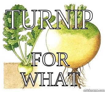 TURNIP FOR WHAT Misc