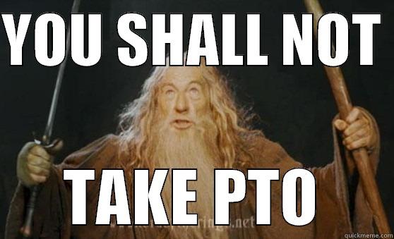 GANDALF PTO - YOU SHALL NOT  TAKE PTO Misc