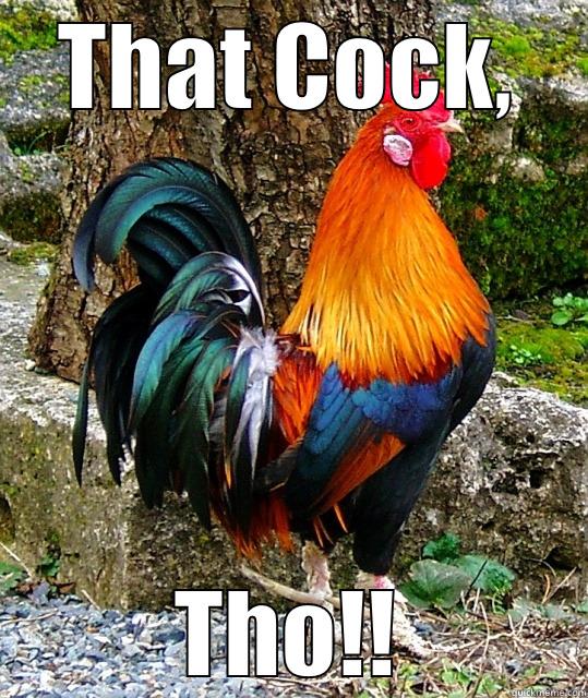 THAT COCK, THO!! Misc