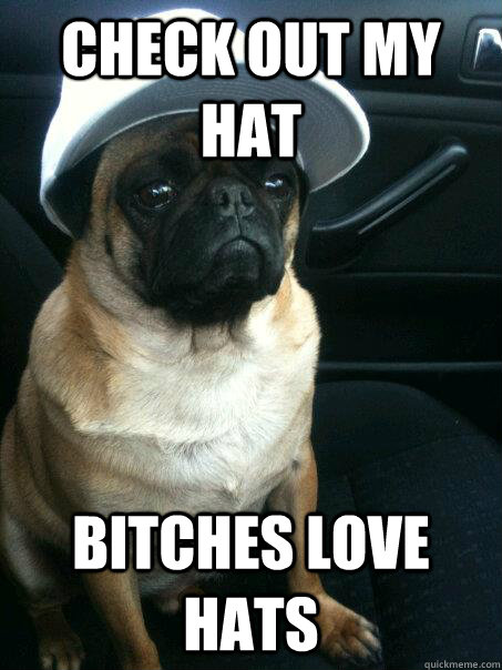CHECK OUT MY HAT BITCHES LOVE HATS  Pug Life