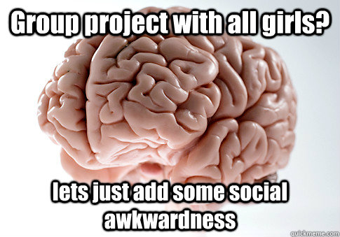 Group project with all girls? lets just add some social awkwardness   Scumbag Brain