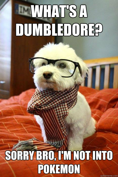 WHAT'S A DUMBLEDORE? Sorry bro, I'm not into pokemon  Hipster Dog