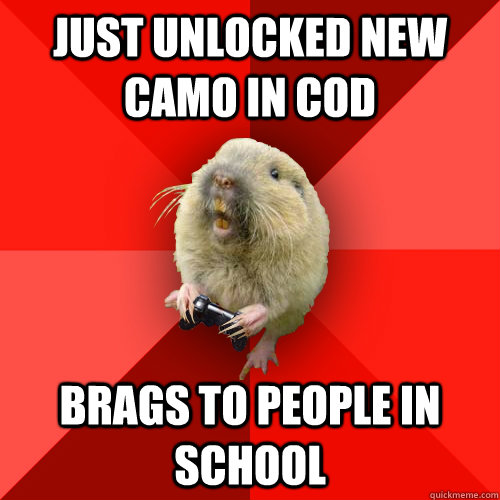 just unlocked new camo in cod brags to people in school  Gaming Gopher