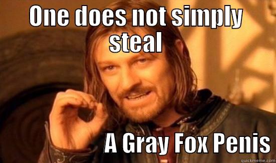 ONE DOES NOT SIMPLY STEAL                         A GRAY FOX PENIS Boromir