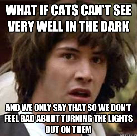 What if cats can't see very well in the dark and we only say that so we don't feel bad about turning the lights out on them  conspiracy keanu