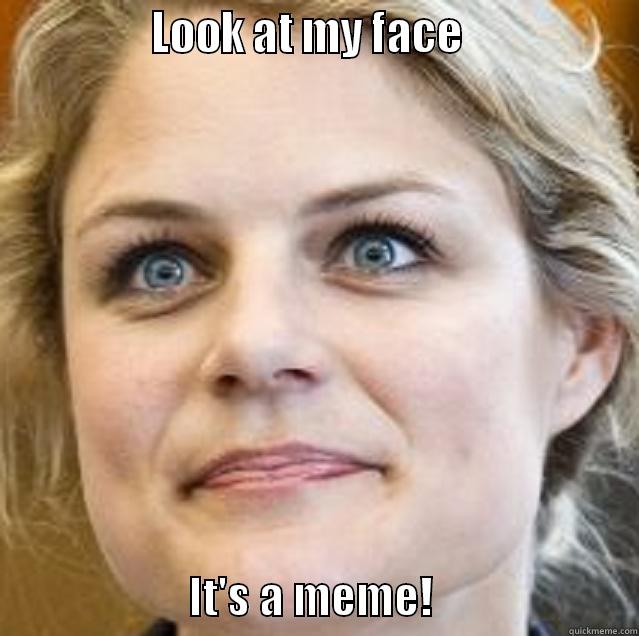               LOOK AT MY FACE                                       IT'S A MEME!                       Misc