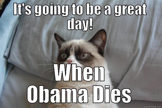 Great Day - IT'S GOING TO BE A GREAT DAY! WHEN OBAMA DIES Grumpy Cat