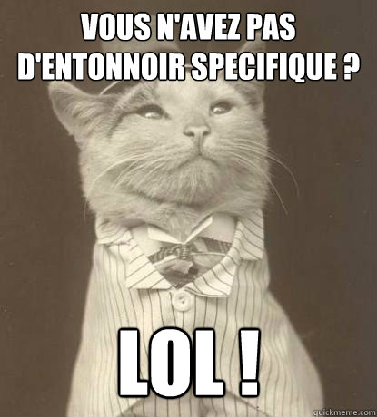 Vous n'avez pas d'entonnoir specifique ? lol !  Aristocat