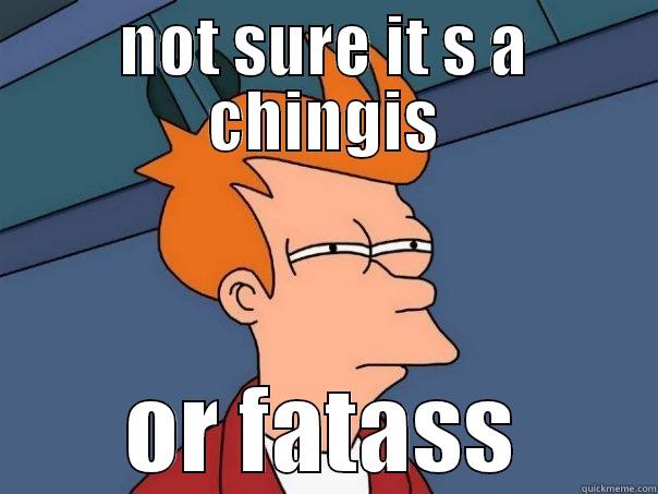 NOT SURE IT S A CHINGIS OR FATASS Futurama Fry