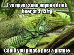 I've never seen anyone drink beer at a party Could you please post a picture - I've never seen anyone drink beer at a party Could you please post a picture  Irritated Iguana