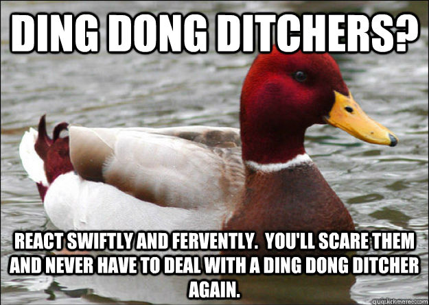 Ding Dong Ditchers? React swiftly and fervently.  You'll scare them and never have to deal with a ding dong ditcher again. - Ding Dong Ditchers? React swiftly and fervently.  You'll scare them and never have to deal with a ding dong ditcher again.  Malicious Advice Mallard