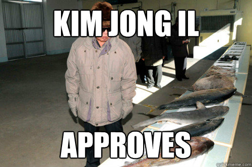 Kim Jong Il approves - Kim Jong Il approves  Kim Jong Illin