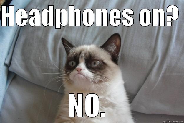 Headphones Sign - HEADPHONES ON?  NO.  Grumpy Cat