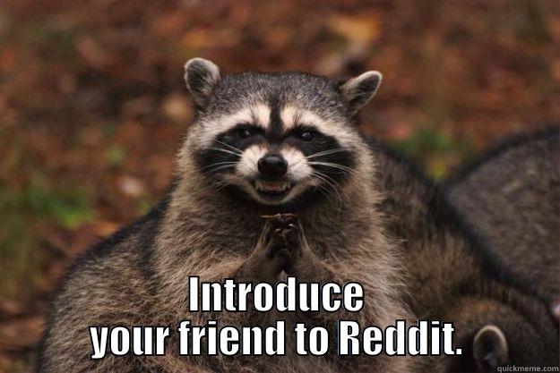  INTRODUCE YOUR FRIEND TO REDDIT. Evil Plotting Raccoon