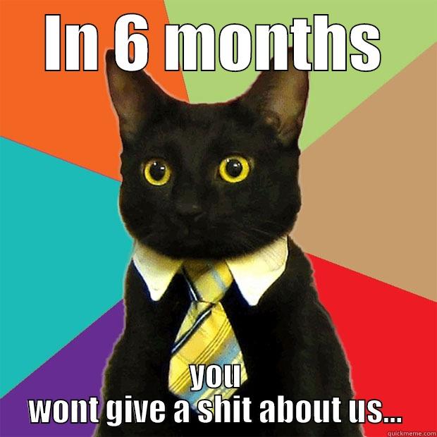 6 months from now - IN 6 MONTHS YOU WONT GIVE A SHIT ABOUT US... Business Cat