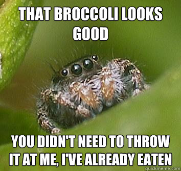 that broccoli looks good you didn't need to throw it at me, i've already eaten - that broccoli looks good you didn't need to throw it at me, i've already eaten  Misunderstood Spider