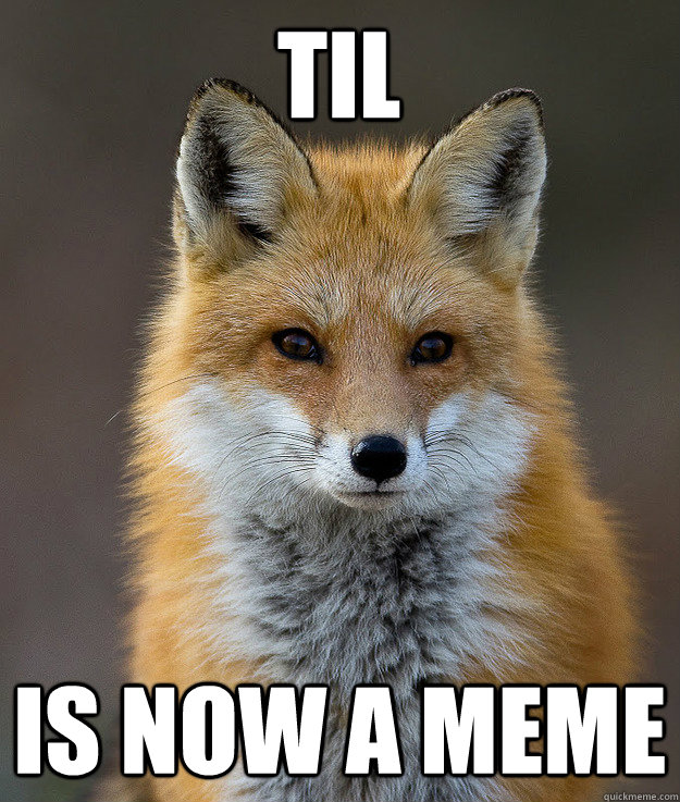 TIL is now a meme  Fun Fact Fox