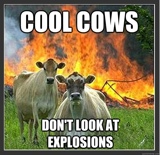 Cool Cows Don't look at explosions  - Cool Cows Don't look at explosions   Evil cows