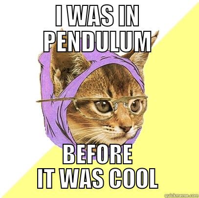 I WAS IN PENDULUM BEFORE IT WAS COOL Hipster Kitty