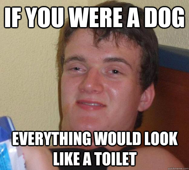 If you were a dog Everything would look like a toilet  10 Guy