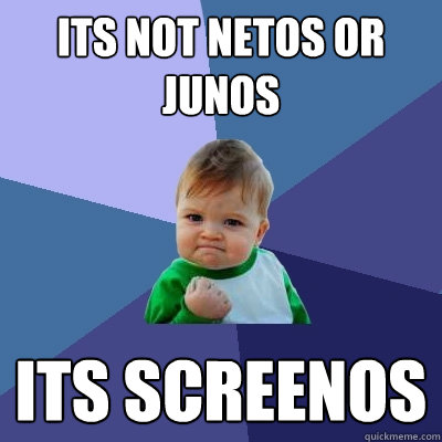 ITS NOT NETOS OR JUNOS ITS SCREENOS  Success Kid