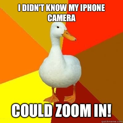 I didn't know my iPhone camera Could zoom in! - I didn't know my iPhone camera Could zoom in!  Tech Impaired Duck