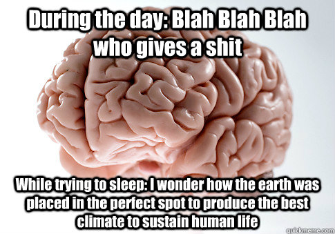 During the day: Blah Blah Blah who gives a shit While trying to sleep: I wonder how the earth was placed in the perfect spot to produce the best climate to sustain human life  Scumbag Brain