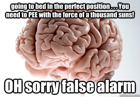 going to bed in the perfect position . . . You need to PEE with the force of a thousand suns! OH sorry false alarm    Scumbag Brain