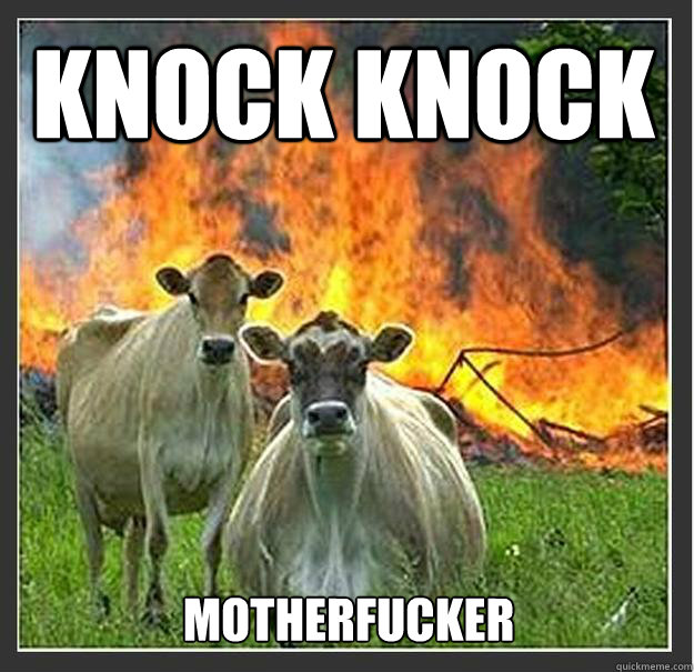 Knock knock motherfucker  Evil cows