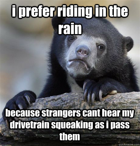 i prefer riding in the rain because strangers cant hear my drivetrain squeaking as i pass them   Confession Bear