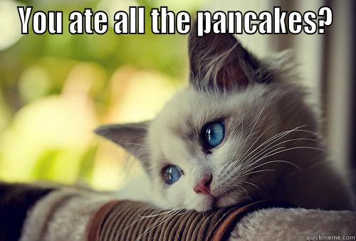 YOU ATE ALL THE PANCAKES?  First World Problems Cat