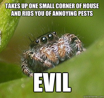 takes up one small corner of house and rids you of annoying pests EVIL - takes up one small corner of house and rids you of annoying pests EVIL  Misunderstood Spider