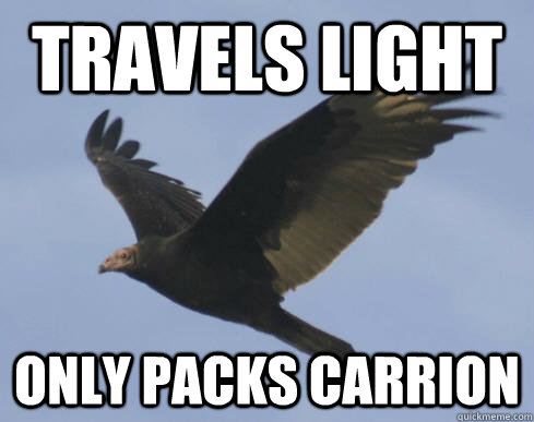 Travels Light Only packs carrion   Lame Pun Vulture