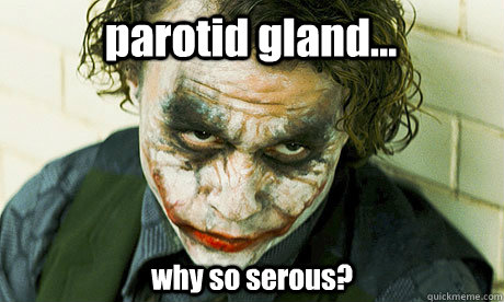 parotid gland... why so serous? - parotid gland... why so serous?  Untrustworthy joker