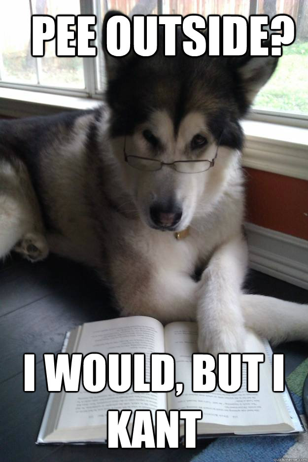Pee outside? I would, but i kant  Condescending Literary Pun Dog