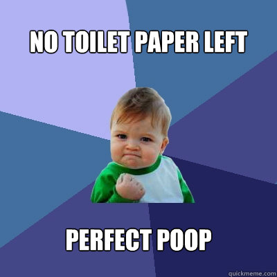 No toilet paper left Perfect poop  - No toilet paper left Perfect poop   Success Kid