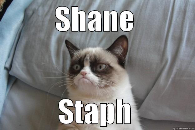 SHANE STAPH Grumpy Cat