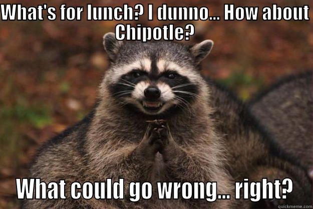 WHAT'S FOR LUNCH? I DUNNO... HOW ABOUT CHIPOTLE? WHAT COULD GO WRONG... RIGHT? Evil Plotting Raccoon