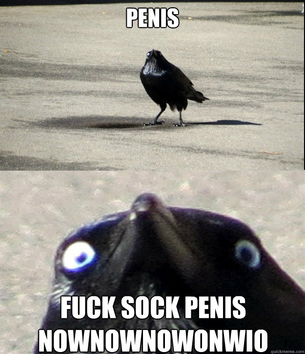 PENIS FUCK SOCK PENIS NOWNOWNOwonwio  Insanity Crow