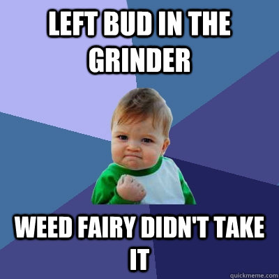 left bud in the grinder weed fairy didn't take it  Success Kid