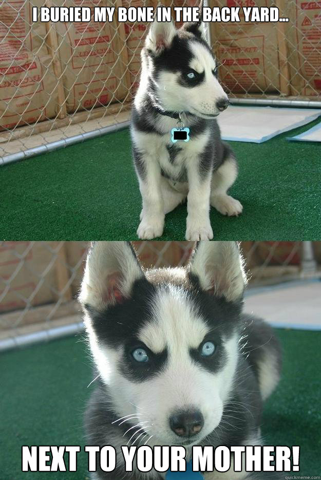 I buried my bone in the back yard... Next to your Mother!  Insanity puppy