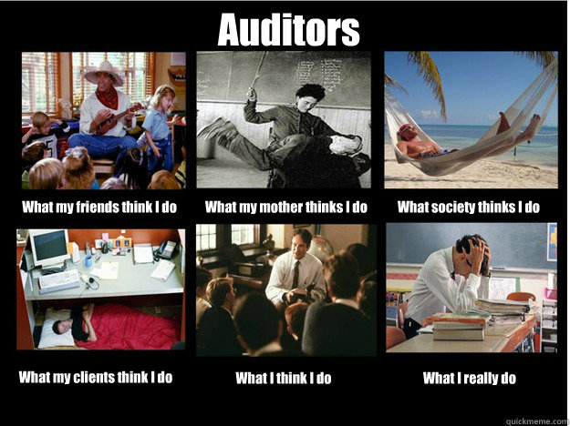 Auditors What my friends think I do What my mother thinks I do What society thinks I do What my clients think I do What I think I do What I really do  