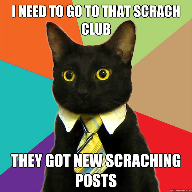 i need to go to that scrach club they got new scraching posts  Business Cat