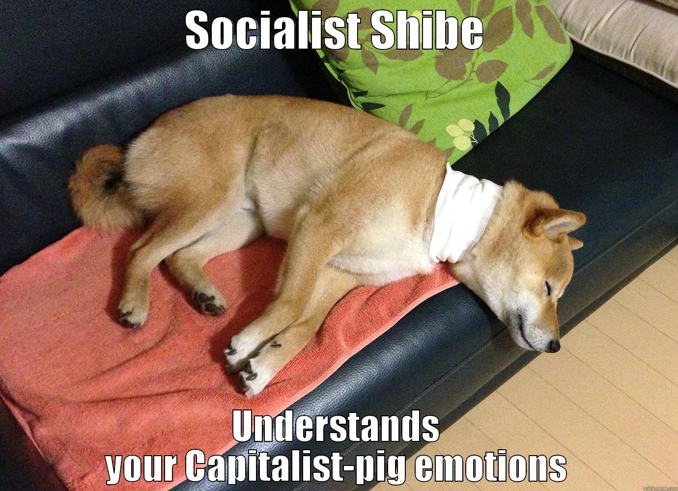 SOCIALIST SHIBE UNDERSTANDS YOUR CAPITALIST-PIG EMOTIONS Misc