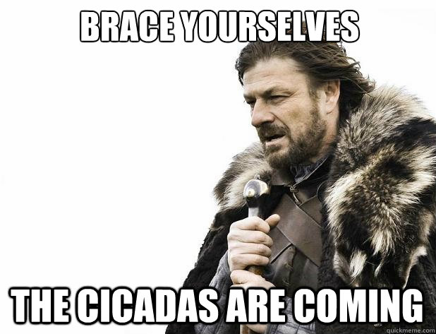 Brace yourselves the cicadas are coming - Brace yourselves the cicadas are coming  Misc