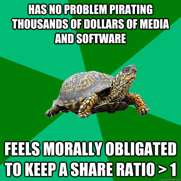 Has no problem pirating thousands of dollars of media and software Feels morally obligated to keep a share ratio > 1  Torrenting Turtle