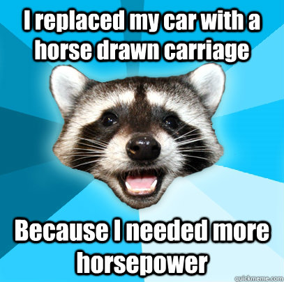 I replaced my car with a horse drawn carriage Because I needed more horsepower  Lame Pun Coon