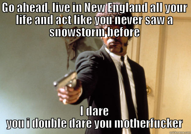 GO AHEAD, LIVE IN NEW ENGLAND ALL YOUR LIFE AND ACT LIKE YOU NEVER SAW A SNOWSTORM BEFORE I DARE YOU I DOUBLE DARE YOU MOTHERFUCKER Samuel L Jackson