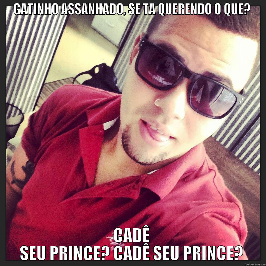 GATINHO ASSANHADO, SE TA QUERENDO O QUE? CADÊ SEU PRINCE? CADÊ SEU PRINCE? Misc