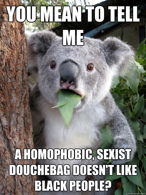 You mean to tell me A homophobic, sexist douchebag doesn't like black people?  Surprised Koala